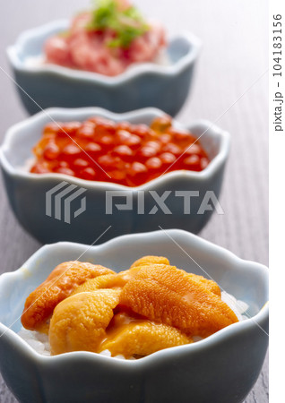 新鮮で美味しい握り寿司 新鮮で美味しい握り寿司 104183156