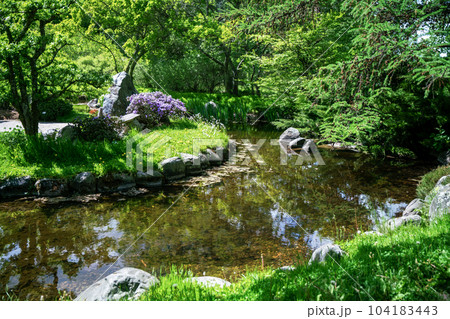 Japanese pond in amazing May 104183443