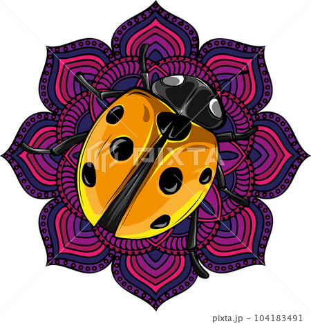 vector illustration of Cute ladybug cartoon design 104183491