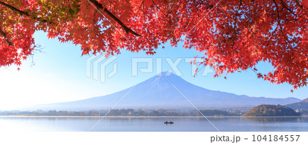 「山梨県」秋の富士山と紅葉　河口湖 104184557