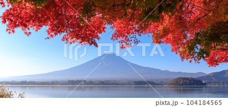 「山梨県」秋の富士山と紅葉　河口湖 104184565