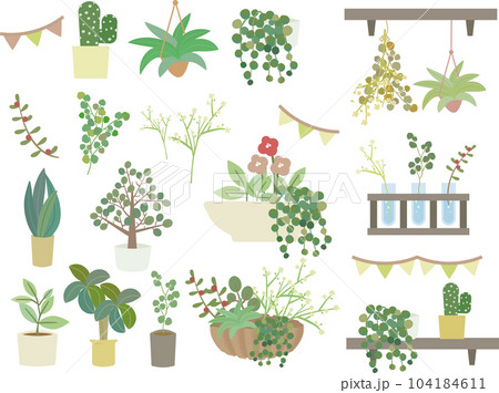 大人かわいい女性向け観葉植物・多肉植物のイラストセット 大人かわいい女性向け観葉植物・多肉植物のイラストセット 104184611