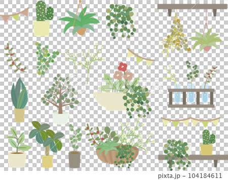 Illustration set of foliage plants and succulents for adult cute women Illustration set of foliage plants and succulents for adult cute women 104184611