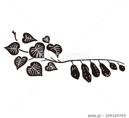 さつまいもとつるのイラスト（黒） 104184769