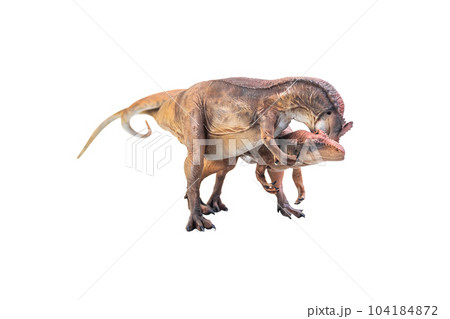 dinosaur , Allosaurus on isolated background 104184872