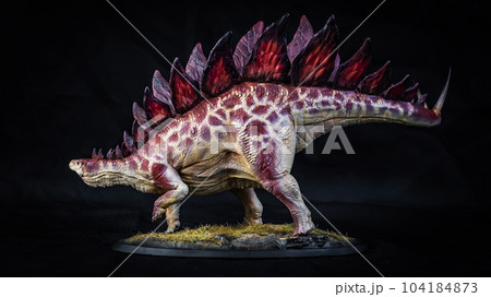 Dinosaur stegosaurus in the dark 104184873