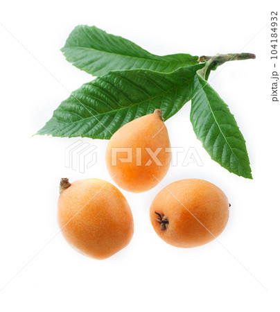 びわ びわ 104184932