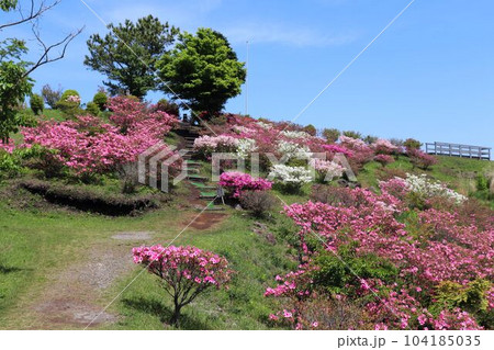 阿蘇市　春の田子山展望所 104185035