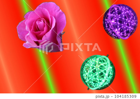 紅い薔薇　コントラスト 104185309