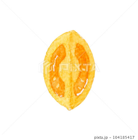 1/4にカットしたオレンジ色のプチトマト　夏野菜の手描き水彩イラスト素材 104185417
