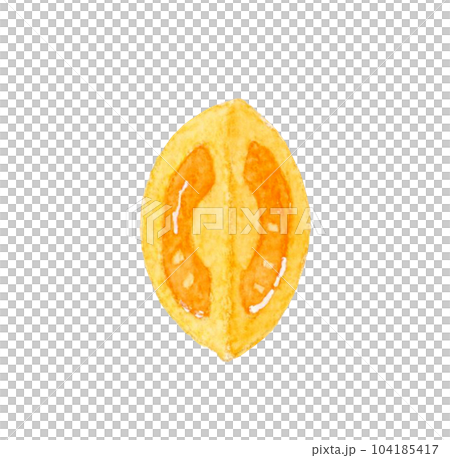 1/4にカットしたオレンジ色のプチトマト　夏野菜の手描き水彩イラスト素材 104185417