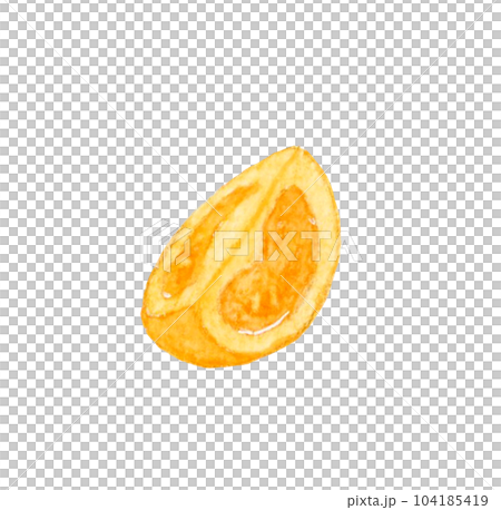 1/4にカットしたオレンジ色のプチトマト　夏野菜の手描き水彩イラスト素材 104185419