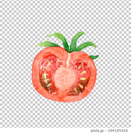 Red petit tomato cut in half Hand drawn watercolor illustration material of summer vegetables Red petit tomato cut in half Hand drawn watercolor illustration material of summer vegetables 104185428