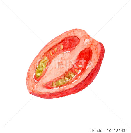 半分にカットした赤色のプチトマト　夏野菜の手描き水彩イラスト素材 104185434