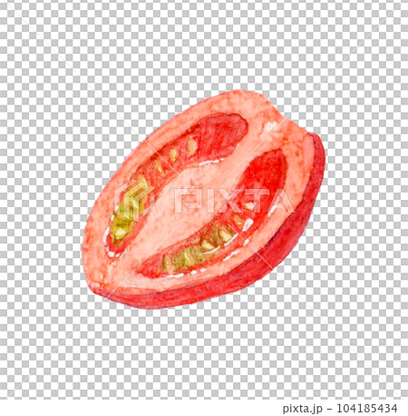 半分にカットした赤色のプチトマト　夏野菜の手描き水彩イラスト素材 104185434