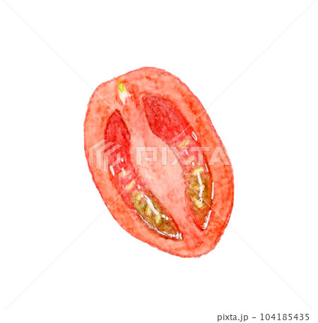 半分にカットした赤色のプチトマト 夏野菜の手描き水彩イラスト素材 半分にカットした赤色のプチトマト 夏野菜の手描き水彩イラスト素材 104185435