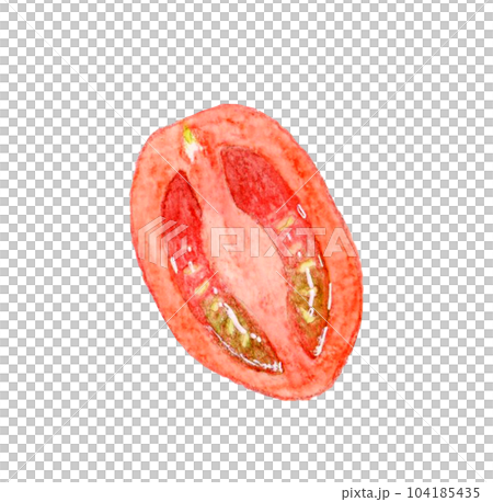 半分にカットした赤色のプチトマト 夏野菜の手描き水彩イラスト素材 半分にカットした赤色のプチトマト 夏野菜の手描き水彩イラスト素材 104185435
