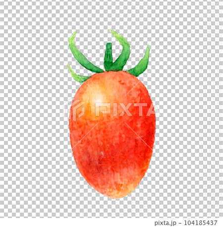 紅色小番茄夏季蔬菜手繪水彩插畫素材 紅色小番茄夏季蔬菜手繪水彩插畫素材 104185437