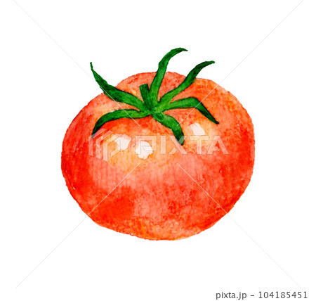 赤色のトマト 夏野菜の手描き水彩イラスト素材のイラスト素材 ...