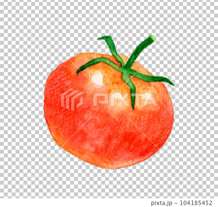 赤色のトマト 夏野菜の手描き水彩イラスト素材のイラスト素材 ...