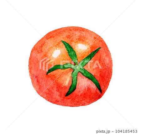 赤色のトマト 夏野菜の手描き水彩イラスト素材のイラスト素材