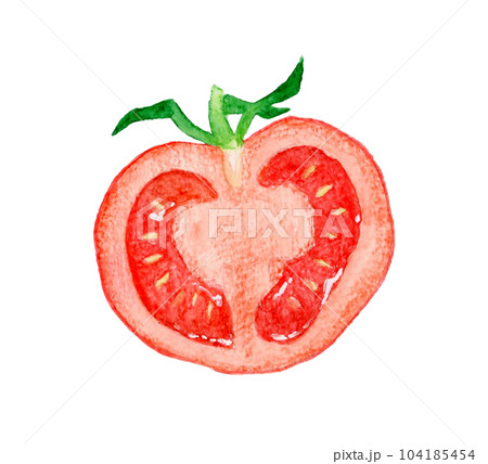 赤色のトマトのセット 夏野菜の手描き水彩イラスト素材の