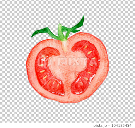 半分にカットした赤色のトマト 夏野菜の手描き水彩イラスト素材の