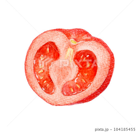 半分にカットした赤色のトマト 夏野菜の手描き水彩イラスト素材 半分にカットした赤色のトマト 夏野菜の手描き水彩イラスト素材 104185455