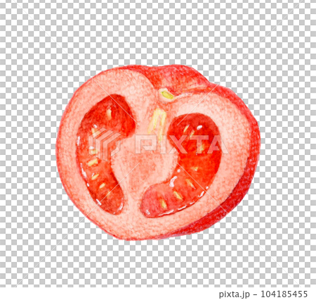 半分にカットした赤色のトマト 夏野菜の手描き水彩イラスト素材 半分にカットした赤色のトマト 夏野菜の手描き水彩イラスト素材 104185455