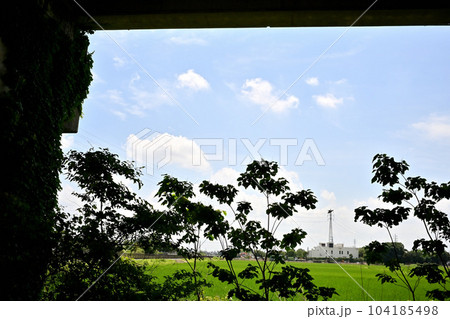 夏草に覆われた高架の向こうの田園 夏草に覆われた高架の向こうの田園 104185498