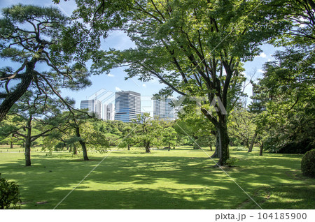 浜離宮恩賜庭園 東京都中央区浜離宮庭園 浜離宮恩賜庭園 東京都中央区浜離宮庭園 104185900