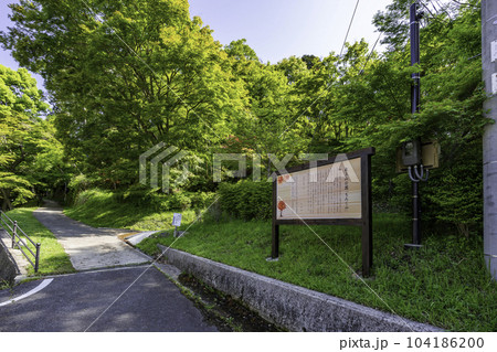 山崎城下町　最上山公園　もみじ山　兵庫県宍粟市 104186200
