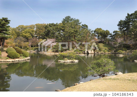 広島市縮景園春 広島市縮景園春 104186343