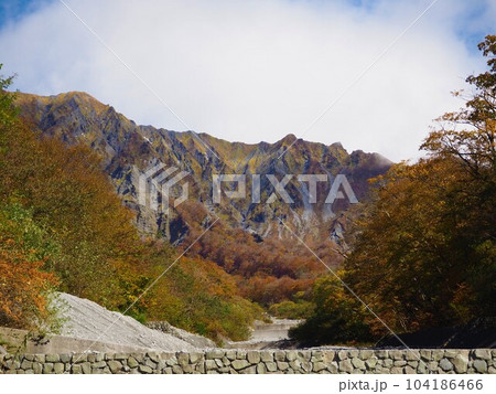 鳥取・大山の一の沢、二の沢、三の沢の美しい紅葉風景 104186466