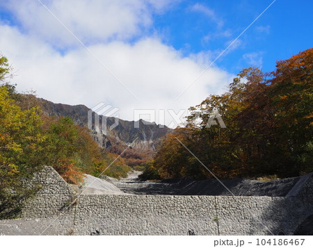 鳥取・大山の一の沢、二の沢、三の沢の美しい紅葉風景 鳥取・大山の一の沢、二の沢、三の沢の美しい紅葉風景 104186467