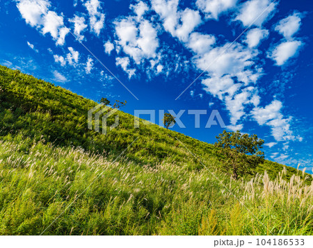 【大分県】10月頃の秋の由布岳　大判ポスター用　ハイレゾ 104186533