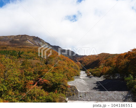 鳥取・大山の一の沢、二の沢、三の沢の美しい紅葉風景 104186551