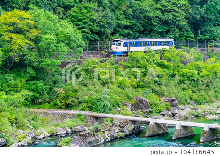 予土線　沈下橋脇を通る鉄道ホビートレイン （西ヶ方ー真土） 104186645