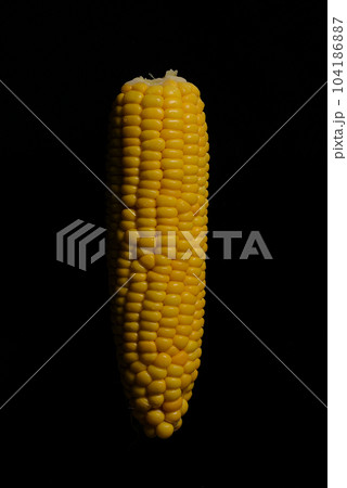 黒背景の中のとうもろこし 黒背景の中のとうもろこし 104186887