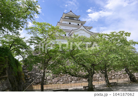 新緑と会津若松城(鶴ヶ城) 104187062