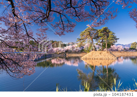 《長野県》六道の堤・桜満開 104187431