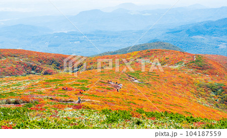 秋の栗駒山登山（中央コース） 104187559