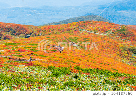 秋の栗駒山登山（中央コース） 104187560