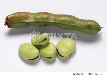 えんどう豆の実 えんどう豆の実 104187676