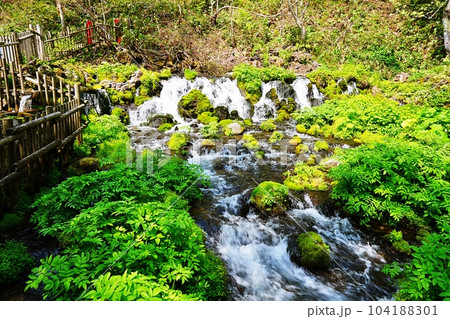 北海道京極町「ふきだし公園」羊蹄のふきだし湧水 104188301