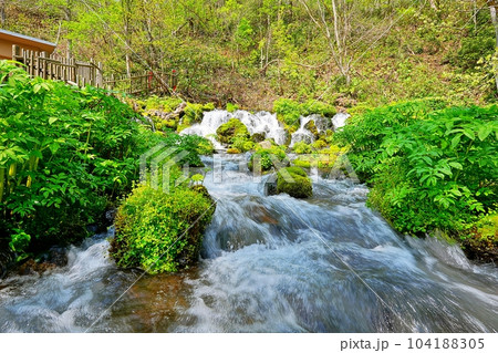 北海道京極町「ふきだし公園」羊蹄のふきだし湧水 104188305