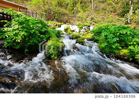 北海道京極町「ふきだし公園」羊蹄のふきだし湧水 104188306