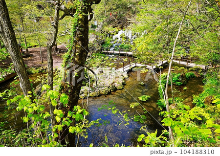 北海道京極町「ふきだし公園」羊蹄のふきだし湧水 北海道京極町「ふきだし公園」羊蹄のふきだし湧水 104188310