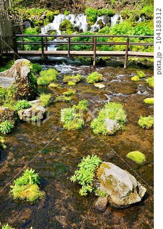 北海道京極町「ふきだし公園」羊蹄のふきだし湧水 104188312