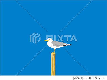 青空の下、杭に止まる一羽のカモメのイラスト 青空の下、杭に止まる一羽のカモメのイラスト 104188758